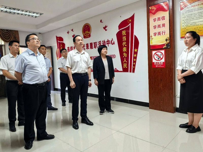 周武红到德保、靖西开展基层人大工作调研