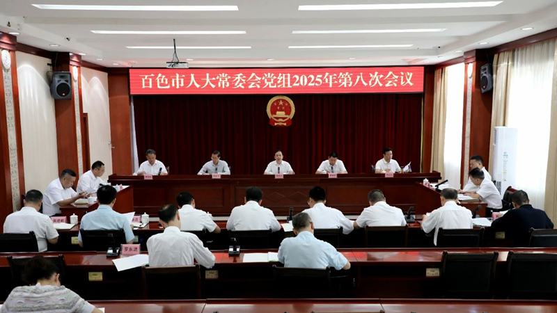 市人大常委会党组召开会议强调：多维监督强化履职 护航发展彰显担当