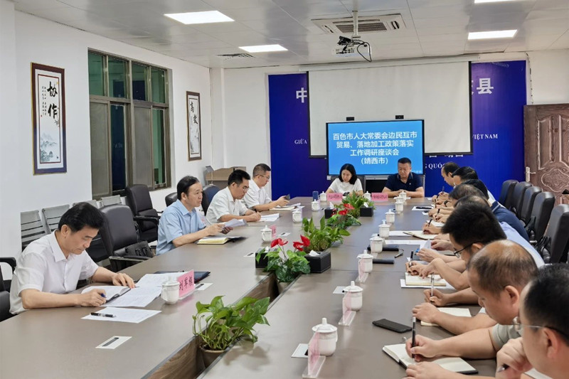 周武红到靖西那坡调研互市贸易、落地加工政策落实情况