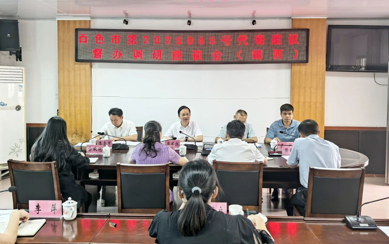 周武红到靖西市开展代表建议督办工作
