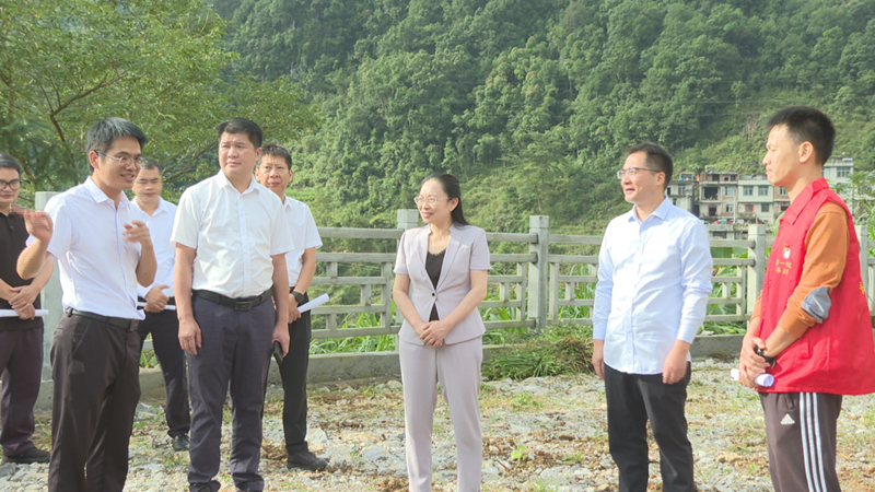 周琴台以人大代表身份到那坡县城厢镇开展“混合编组、多级联动、履职为民”主题活动