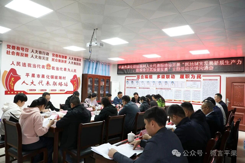 李建华以人大代表身份到平果市开展“因地制宜发展新质生产力，助推全区高质量发展”主题活动