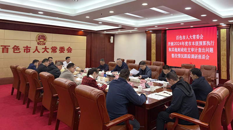 开展2024年度市本级预算执行和其他财政收支审计查出问题整改情况跟踪调研.jpg