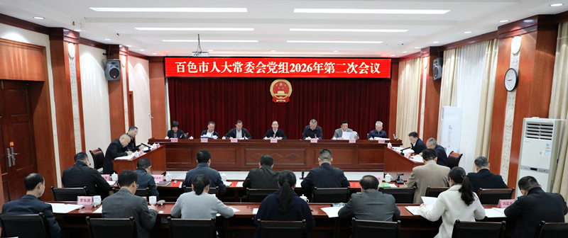 市人大常委会党组召开会议强调：凝心聚力抓落实 实干担当谱新篇