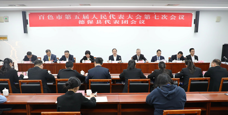 周武红参加德保县代表团审议