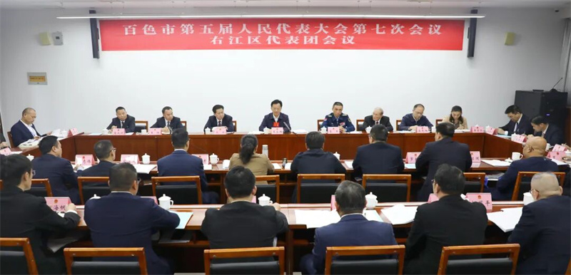 王永超参加中国共产党、文学艺术界联组讨论和右江区代表团审议