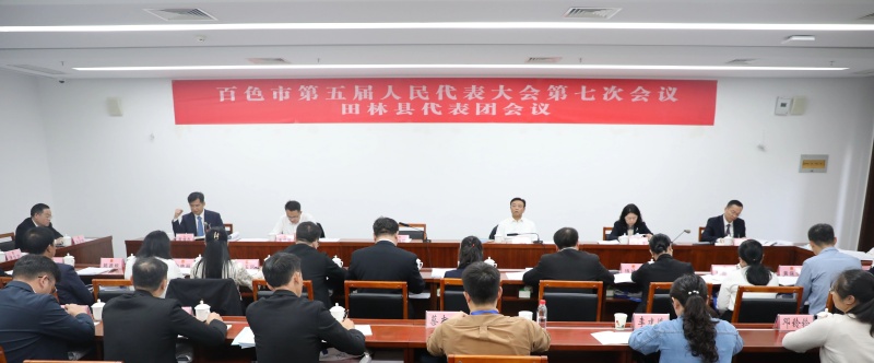 韦正业参加田林县代表团审议