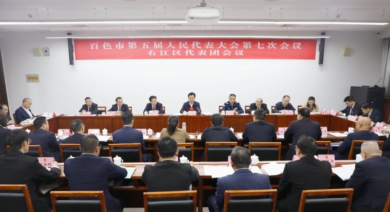 农斌参加右江区代表团审议