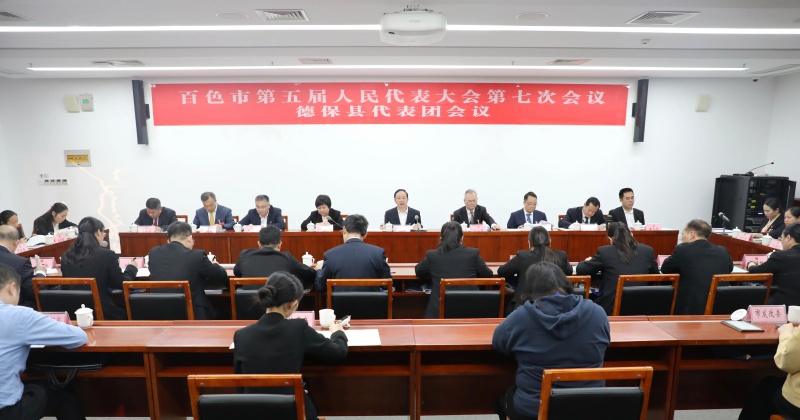 陆兰碧参加德保县代表团审议