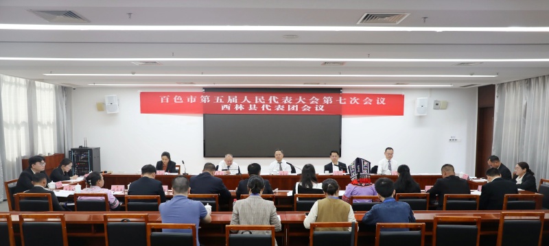 李荣能参加西林县代表团审议