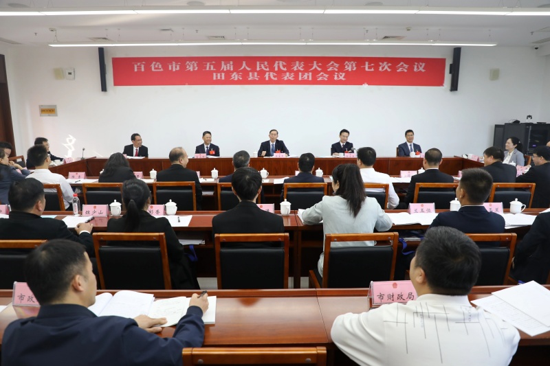 黄善平参加田东县代表团审议