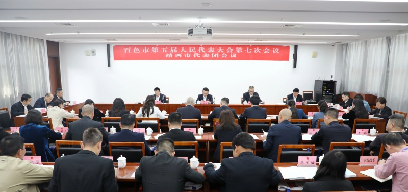 黄永才参加靖西市代表团审议