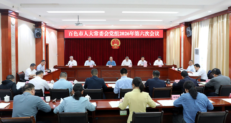 市人大常委会党组召开会议强调：深入学习贯彻全国两会精神 在实干为民中担当作为