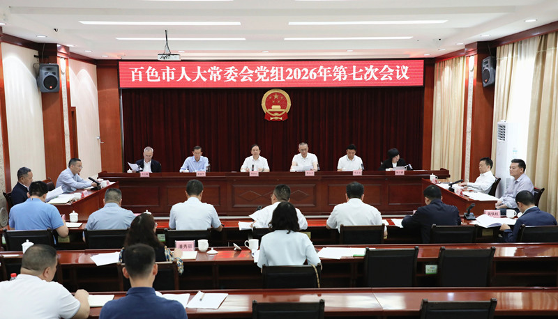 市人大常委会党组召开会议强调：对标要求抓落实　实干担当促发展　奋力谱写百色人大工作高质量发展新篇章