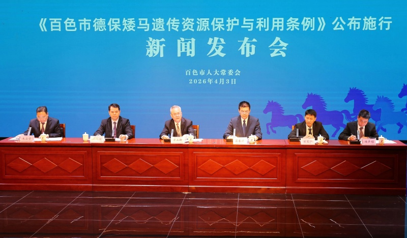 以法治力量守护“马中熊猫” 《百色市德保矮马遗传资源保护与利用条例》5月1日起正式施行