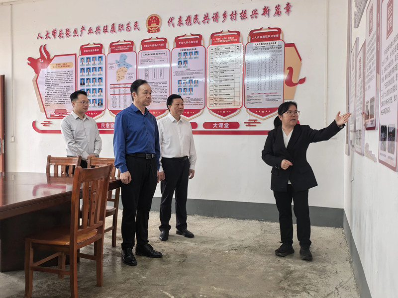 周武红开展人大会议精神宣讲调研 推动百色基层人大高质量发展